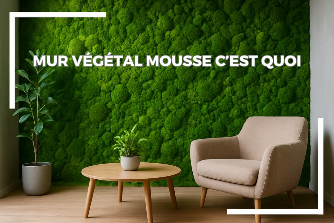 Mur végétal mousse : apportez verdure et design à vos espaces