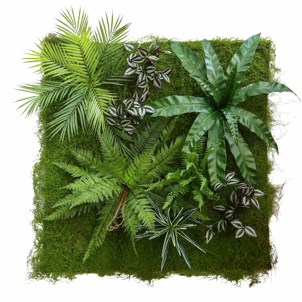 Panneau végétal artificiel Abies
