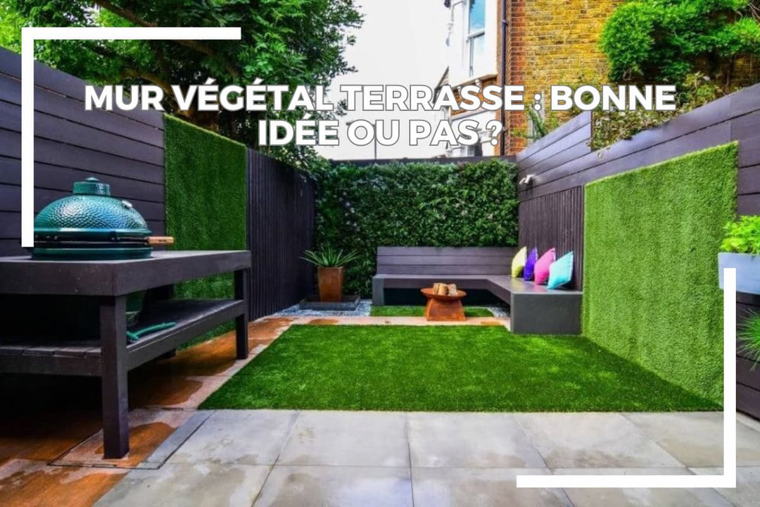 Un mur végétal terrasse : bonne idée ou pas ?